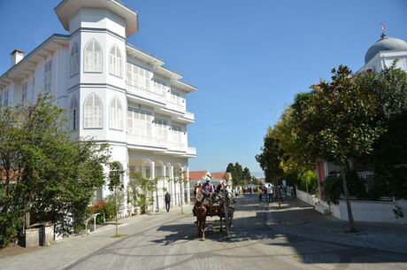 GÜNÜBİRLİK İSTANBUL ADALAR TURU